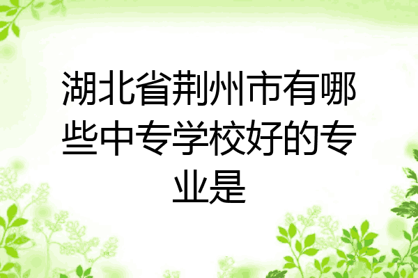 湖北省荆州市有哪些中专学校好的专业是
