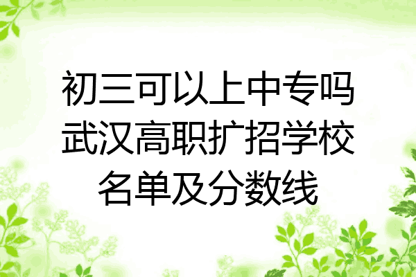 初三可以上中专吗武汉高职扩招学校名单及分数线