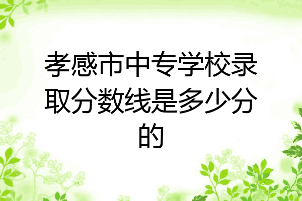 孝感市中专学校录取分数线是多少分的