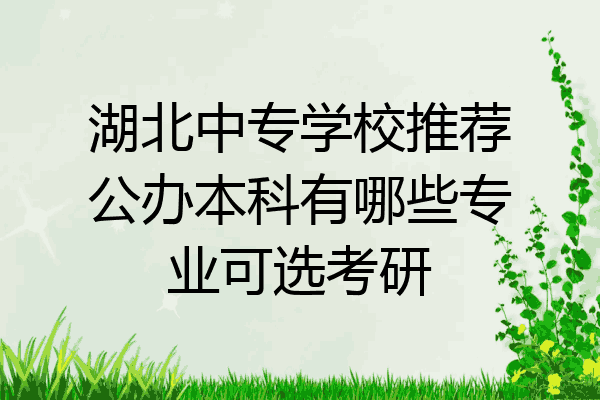 湖北中专学校推荐公办本科有哪些专业可选考研