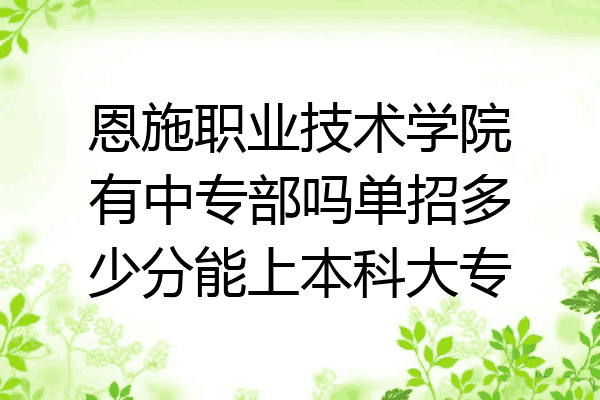 恩施职业技术学院有中专部吗单招多少分能上本科大专
