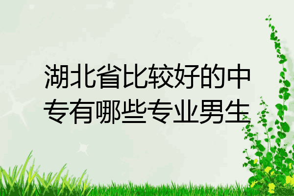 湖北省比较好的中专有哪些专业男生