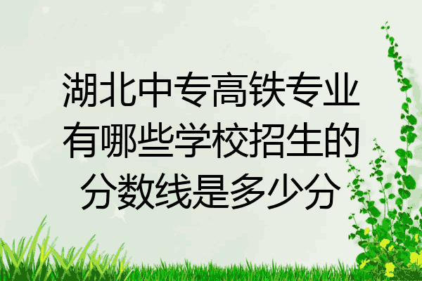 湖北中专高铁专业有哪些学校招生的分数线是多少分