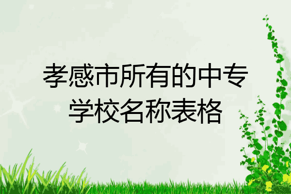 孝感市所有的中专学校名称表格