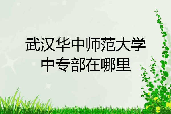 武汉华中师范大学中专部在哪里
