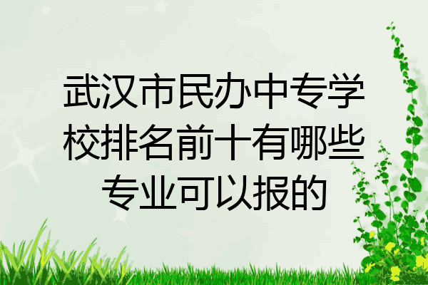武汉市民办中专学校排名前十有哪些专业可以报的