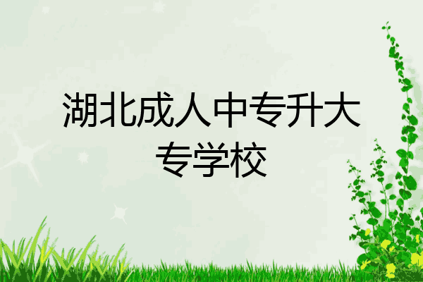 湖北成人中专升大专学校