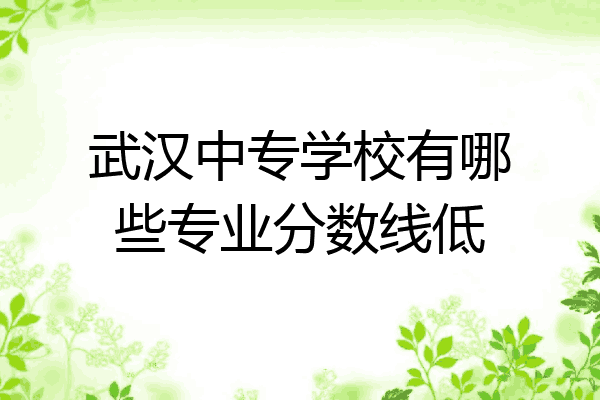 武汉中专学校有哪些专业分数线低