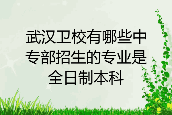 武汉卫校有哪些中专部招生的专业是全日制本科