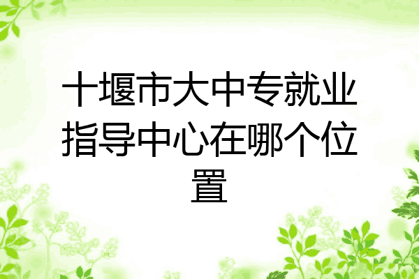 十堰市大中专就业指导中心在哪个位置