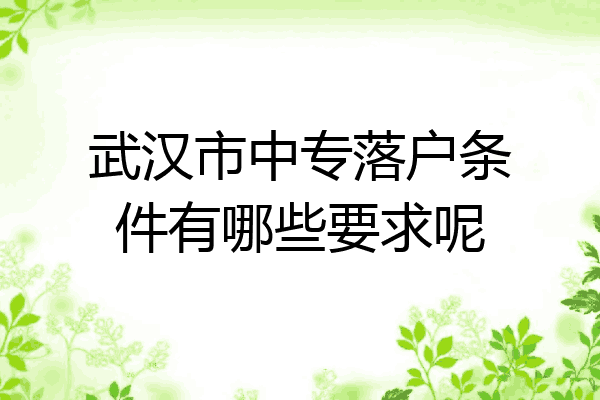 武汉市中专落户条件有哪些要求呢