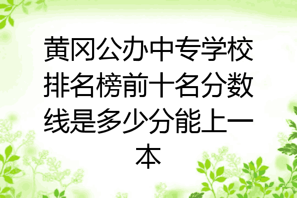 黄冈公办中专学校排名榜前十名分数线是多少分能上一本