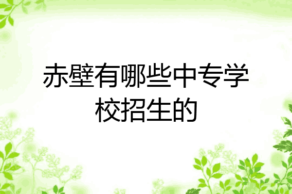 赤壁有哪些中专学校招生的