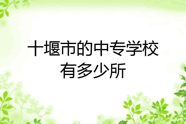 十堰市的中专学校有多少所