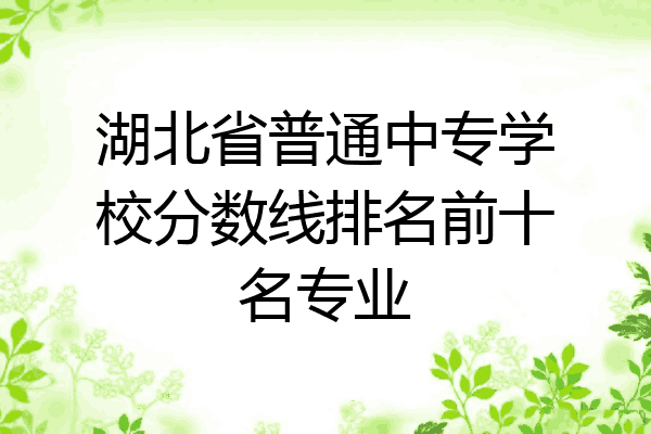 湖北省普通中专学校分数线排名前十名专业