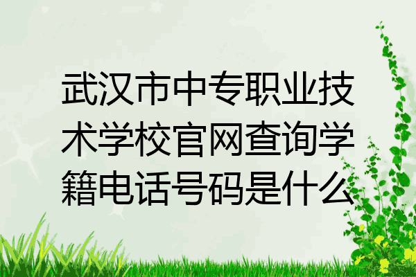 武汉市中专职业技术学校官网查询学籍电话号码是什么