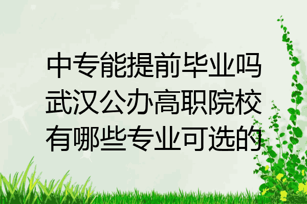 中专能提前毕业吗武汉公办高职院校有哪些专业可选的