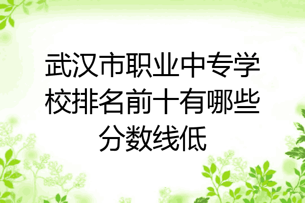 武汉市职业中专学校排名前十有哪些分数线低