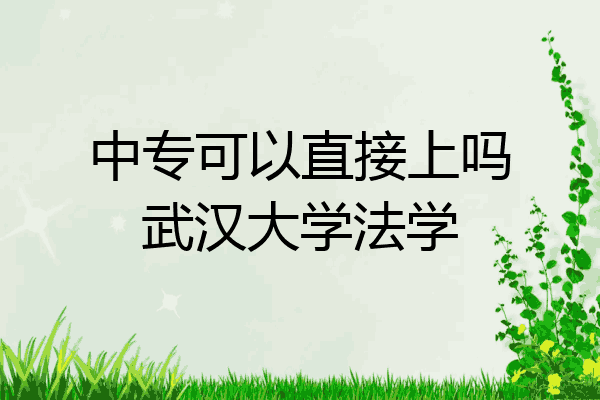 中专可以直接上吗武汉大学法学