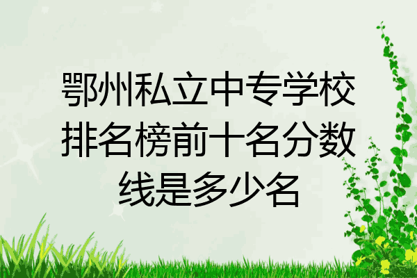 鄂州私立中专学校排名榜前十名分数线是多少名