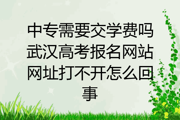 中专需要交学费吗武汉高考报名网站网址打不开怎么回事