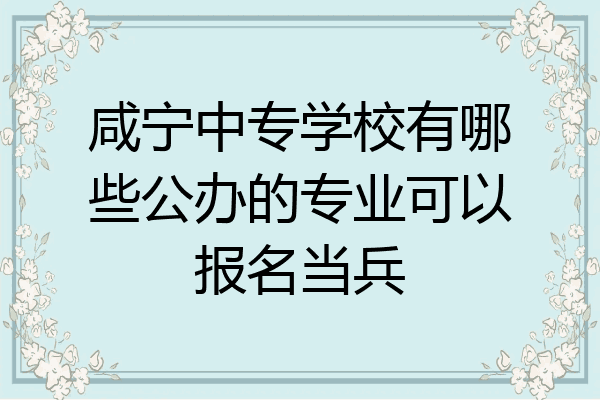 咸宁中专学校有哪些公办的专业可以报名当兵