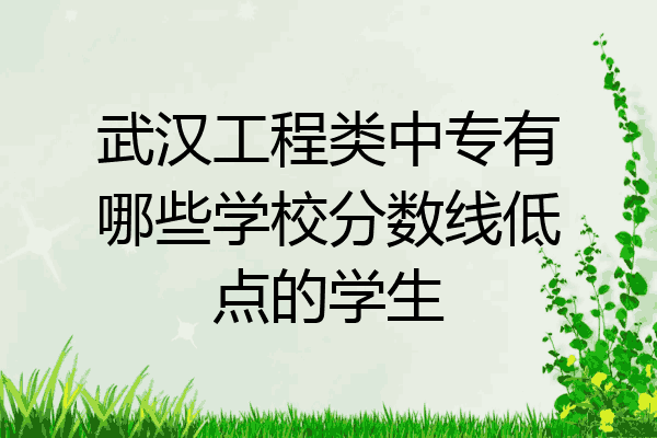 武汉工程类中专有哪些学校分数线低点的学生
