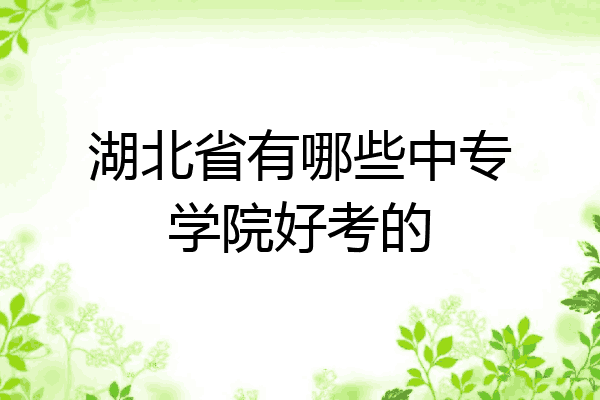 湖北省有哪些中专学院好考的