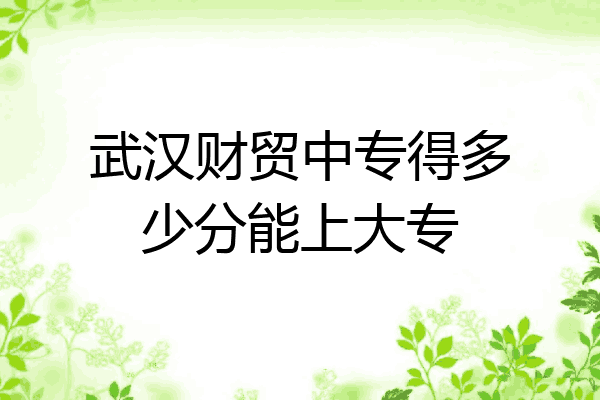 武汉财贸中专得多少分能上大专