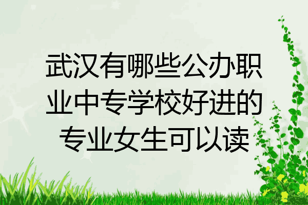 武汉有哪些公办职业中专学校好进的专业女生可以读