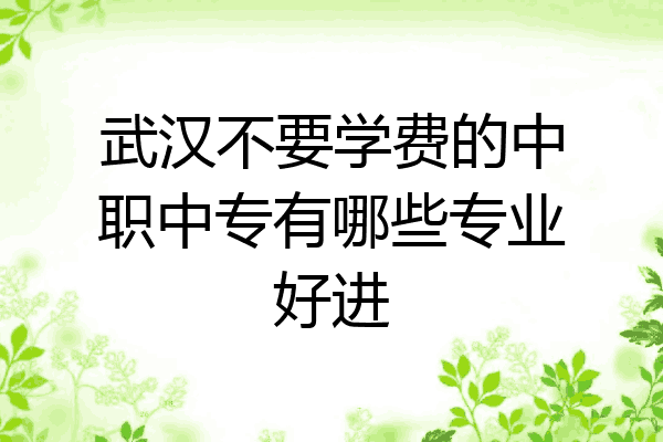 武汉不要学费的中职中专有哪些专业好进