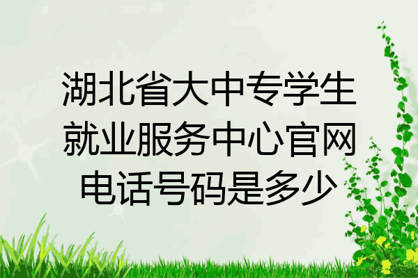 湖北省大中专学生就业服务中心官网电话号码是多少