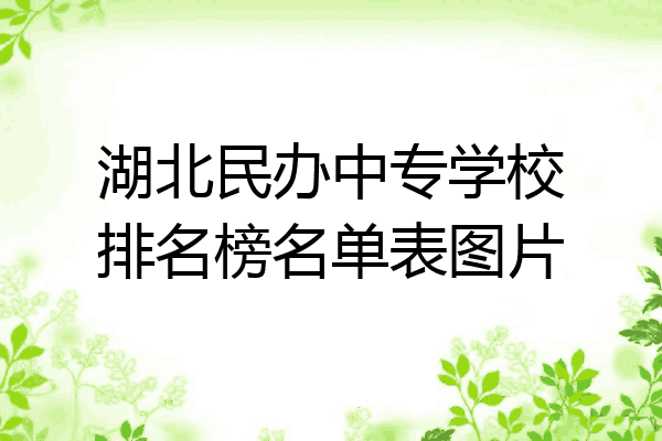 湖北民办中专学校排名榜名单表图片