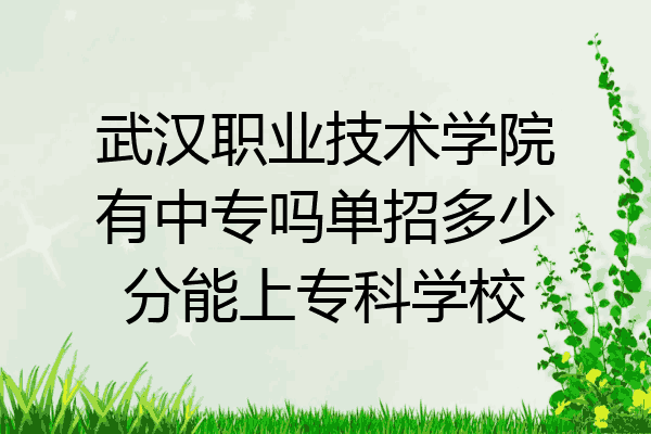 武汉职业技术学院有中专吗单招多少分能上专科学校