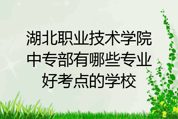 湖北职业技术学院中专部有哪些专业好考点的学校