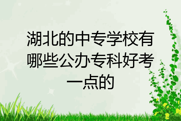 湖北的中专学校有哪些公办专科好考一点的