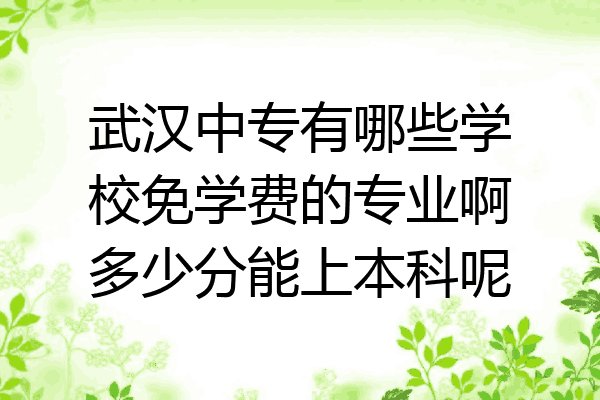 武汉中专有哪些学校免学费的专业啊多少分能上本科呢