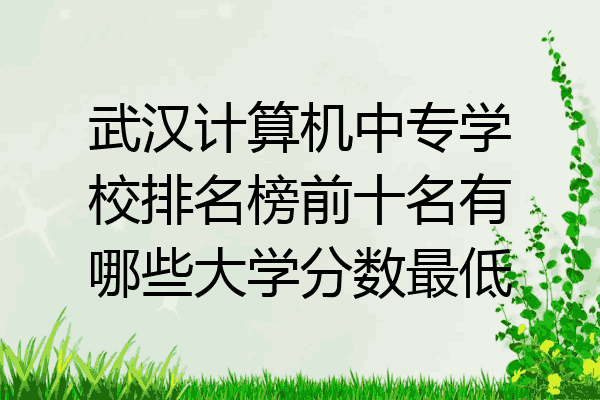 武汉计算机中专学校排名榜前十名有哪些大学分数最低