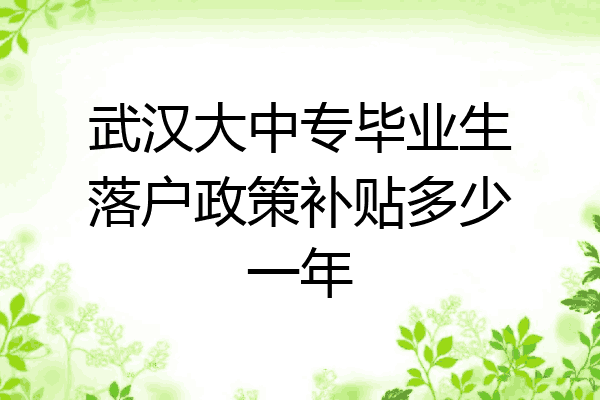 武汉大中专毕业生落户政策补贴多少一年