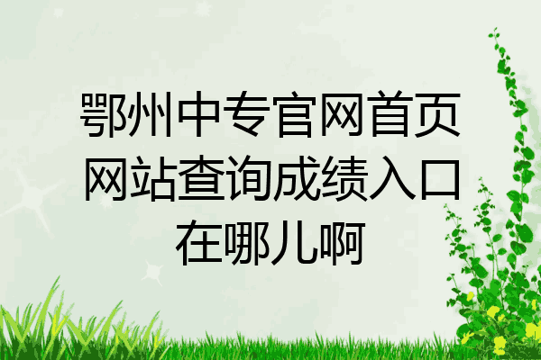 鄂州中专官网首页网站查询成绩入口在哪儿啊
