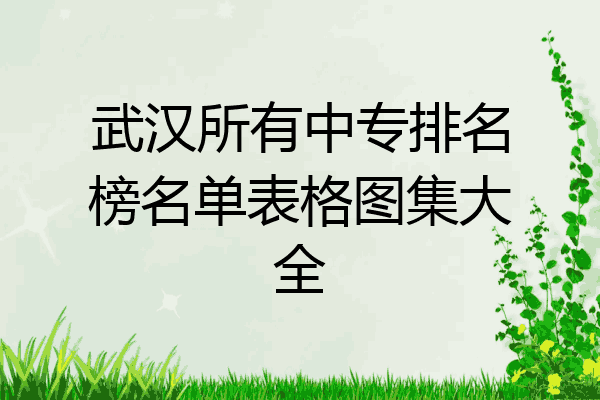 武汉所有中专排名榜名单表格图集大全