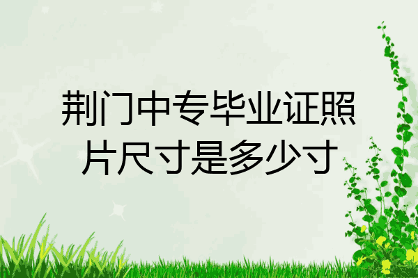 荆门中专毕业证照片尺寸是多少寸