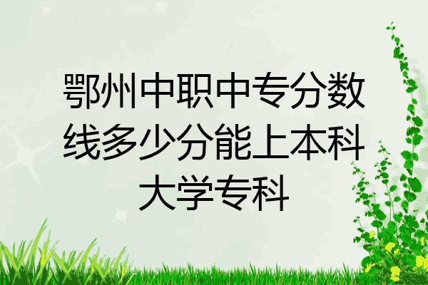 鄂州中职中专分数线多少分能上本科大学专科