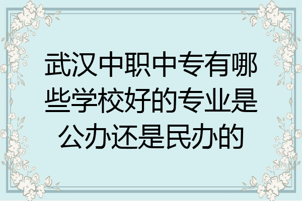 武汉中职中专有哪些学校好的专业是公办还是民办的