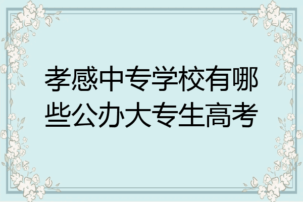 孝感中专学校有哪些公办大专生高考