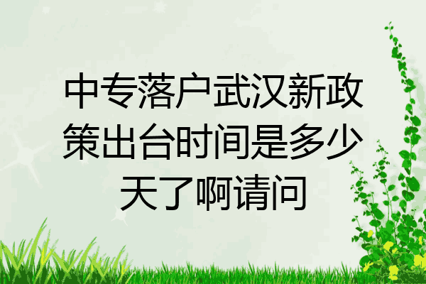 中专落户武汉新政策出台时间是多少天了啊请问