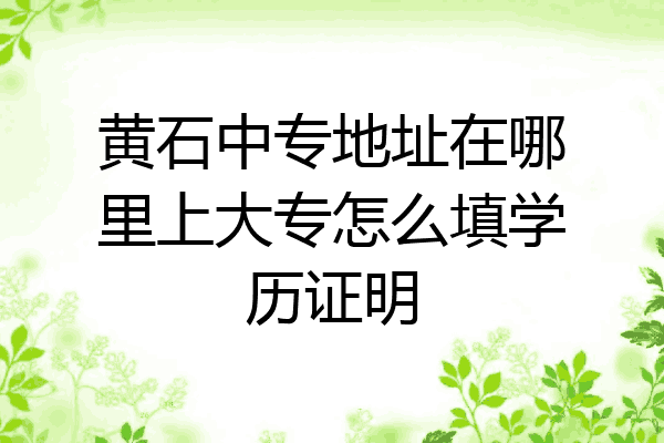 黄石中专地址在哪里上大专怎么填学历证明