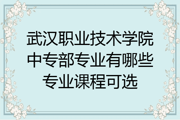 武汉职业技术学院中专部专业有哪些专业课程可选