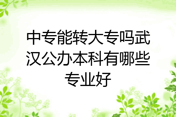 中专能转大专吗武汉公办本科有哪些专业好