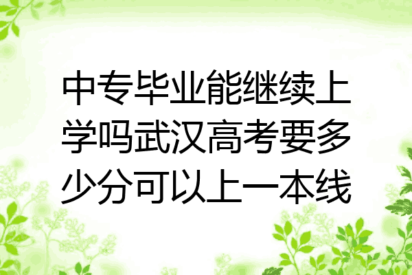 中专毕业能继续上学吗武汉高考要多少分可以上一本线